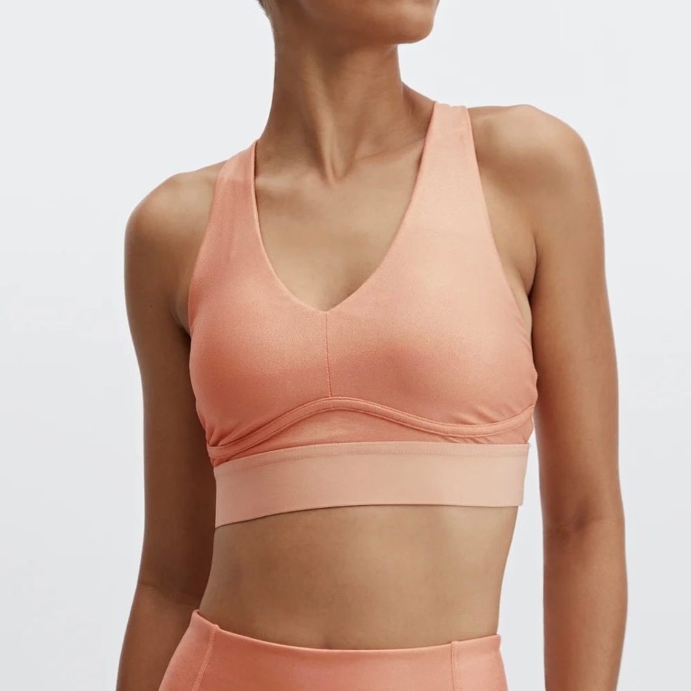 Fabletics All Day Every Day Iridescent Bra II